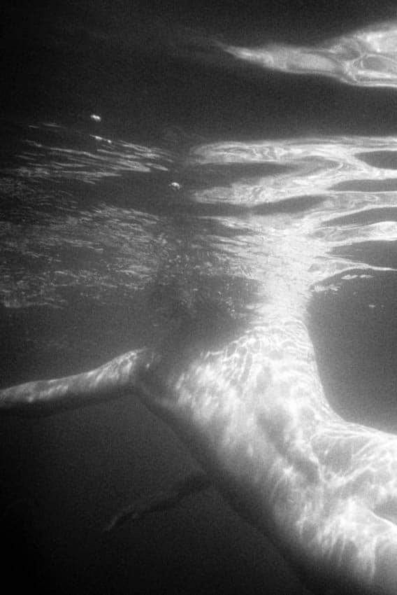 série naiades nus sous l'eau